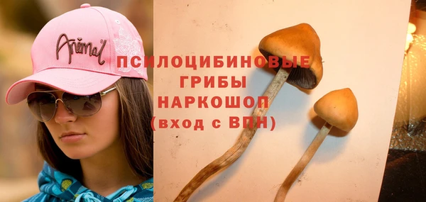 СК Кулебаки