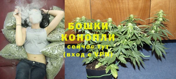 крисы Куйбышев