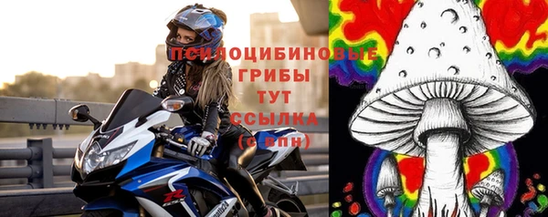 крисы Куйбышев