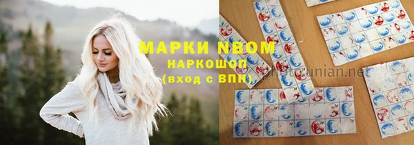 крисы Куйбышев